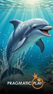 12cuci slot (23)